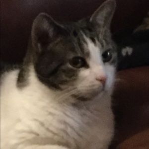 Meet your Posher, Beth